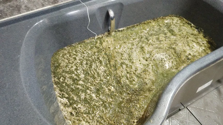 お風呂の配管洗浄